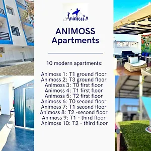 Appartement Animoss! Apartments - 10 Modern Apartments Near City Center & Beach, Santa Maria